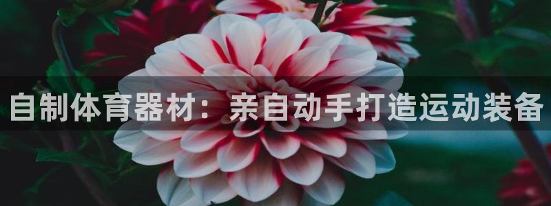 极悦平台安全吗：自制体育器材：亲自动手打造运动装备