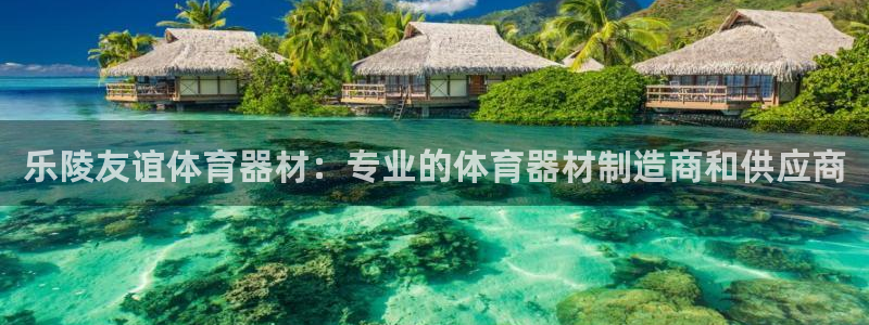 极悦娱乐的背景和历史背景介绍：乐陵友谊体育器材：专业