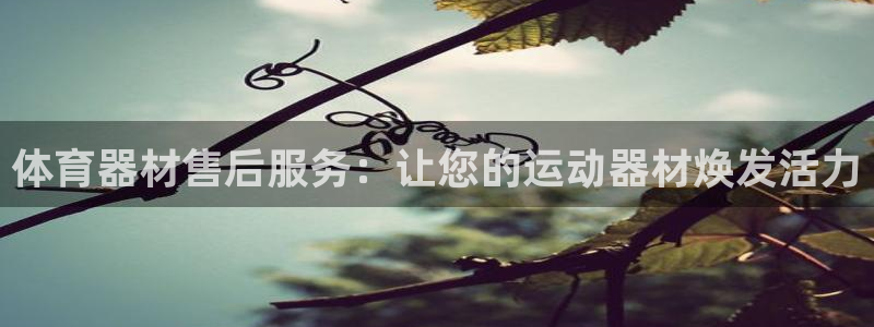 极悦平台代理怎么样可靠吗：体育器材售后服务：让您的运