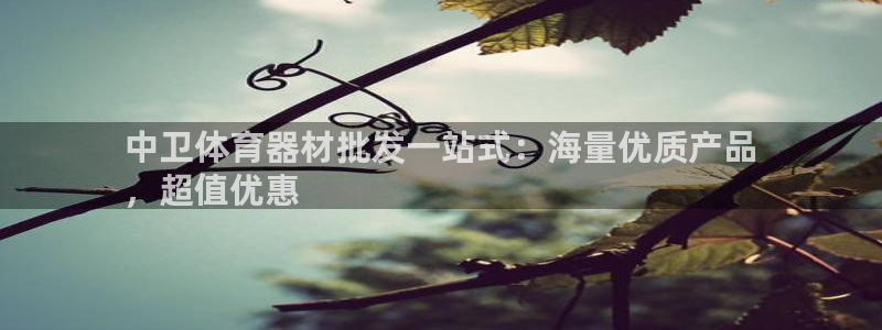 极悦官网注册最新版本更新内容在哪：中卫体育器材批发一