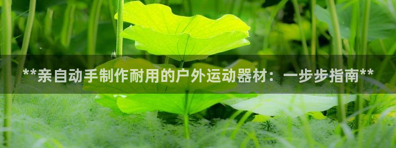 极悦平台使用注意事项是什么：**亲自动手制作耐用的户