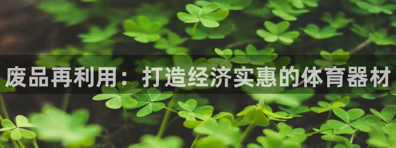 极悦娱乐是资金盘吗：废品再利用：打造经济实惠的体育器