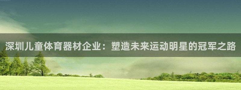 极悦娱乐官网入口：深圳儿童体育器材企业：塑造未来运动