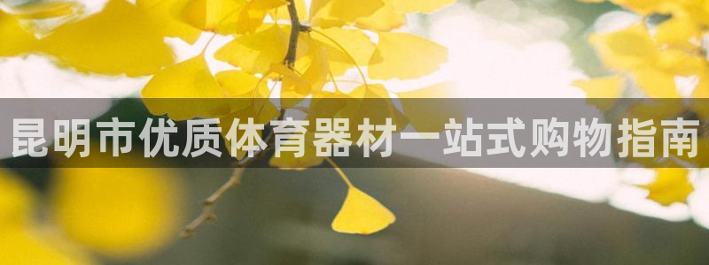 极悦平台布7O777：昆明市优质体育器材一站式购物指