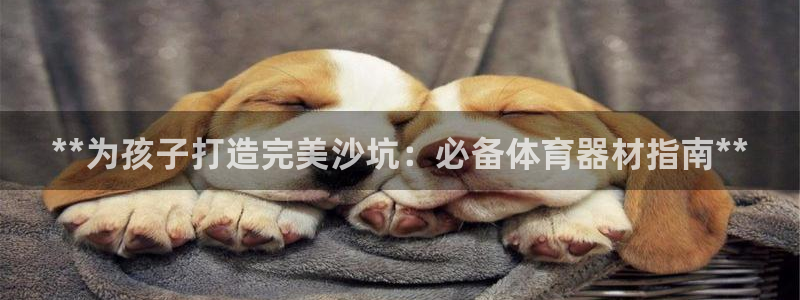 极悦平台注册用户名验证：**为孩子打造完美沙坑：必备