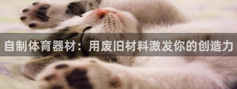 极悦平台和蓝狮平台区别在哪