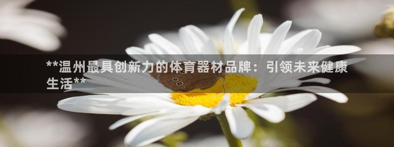 极悦平台官方网站首页入口
