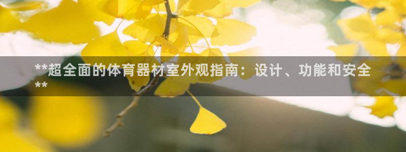 极悦平台注册官方网站下载安卓：**超全面的体育器材室