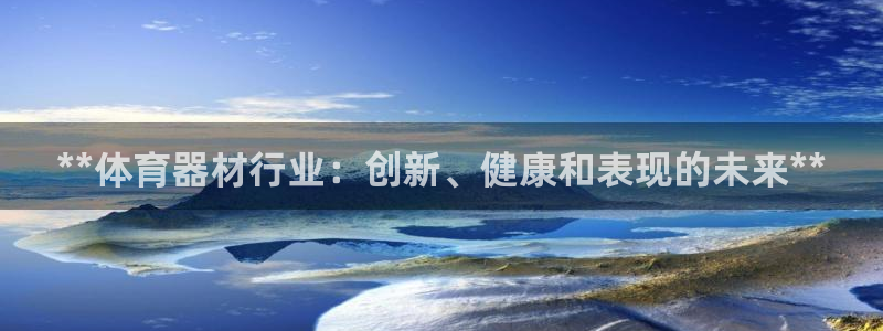 极悦平台注册流程图片：**体育器材行业：创新、健康和