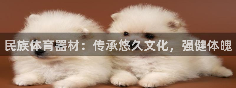 极悦娱乐游戏中心：民族体育器材：传承悠久文化，强健体