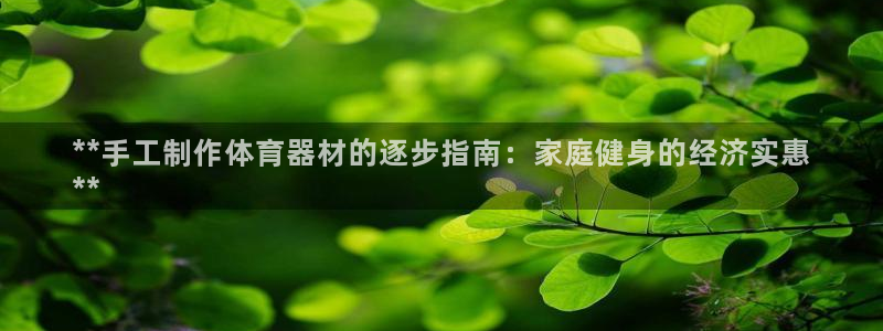 极悦平台注册官网下载：**手工制作体育器材的逐步指南