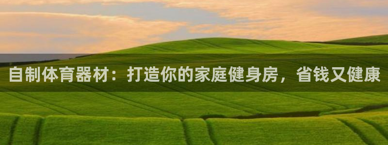 极悦平台官方网站是什么软件：自制体育器材：打造你的家
