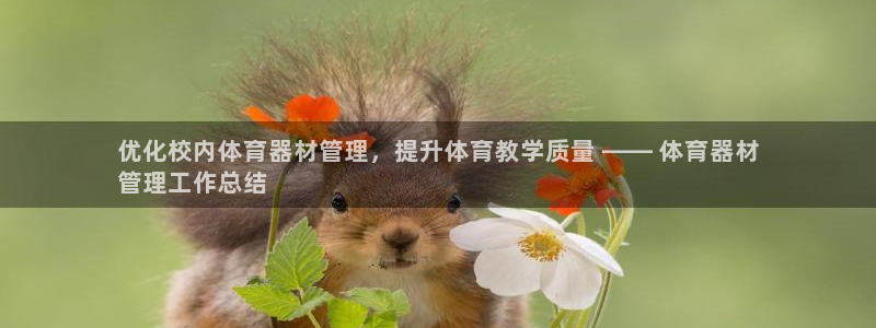 极悦平台注册流程详解：优化校内体育器材管理，提升体育