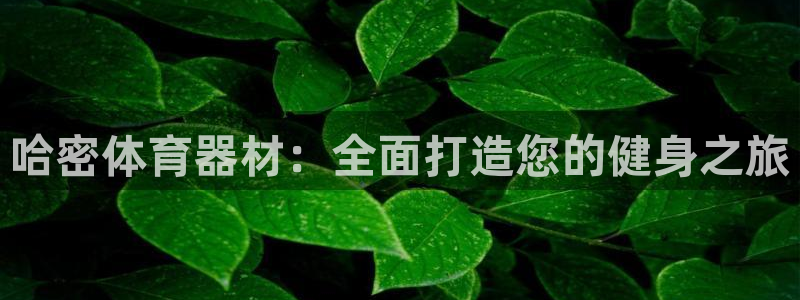极悦平台注册官方网站下载手机版：哈密体育器材：全面打