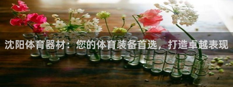 极悦娱乐的最新版本更新内容