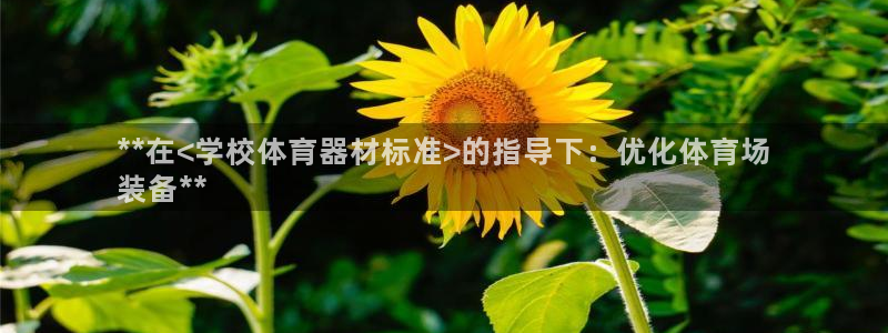 极悦娱乐挂机赚钱是真的吗安全吗：**在<学校体育器材
