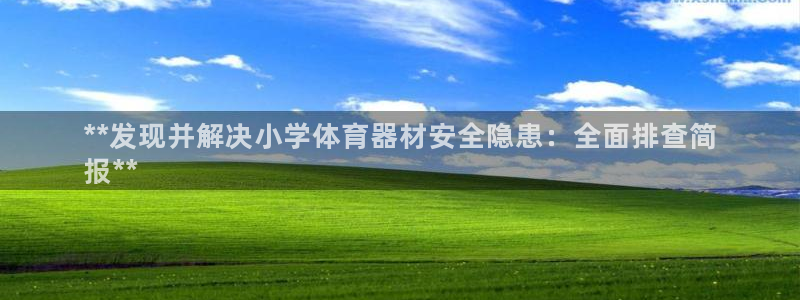 极悦平台用户评价：**发现并解决小学体育器材安全隐患