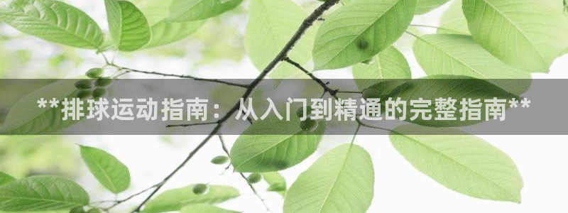 极悦娱乐的最新版本更新内容：**排球运动指南：从入门
