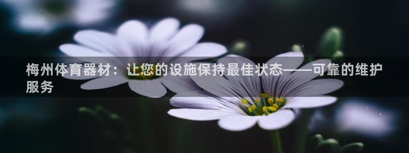 极悦娱乐会被骗吗安全吗：梅州体育器材：让您的设施保持