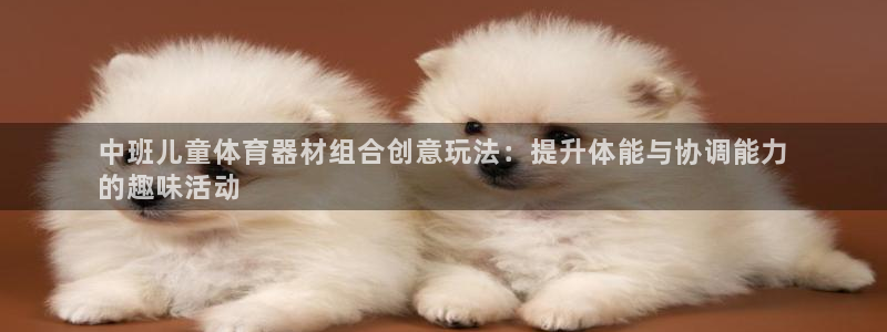 极悦平台使用教程图片：中班儿童体育器材组合创意玩法：