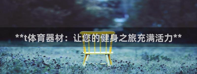 极悦平台：**t体育器材：让您的健身之旅充满活力**