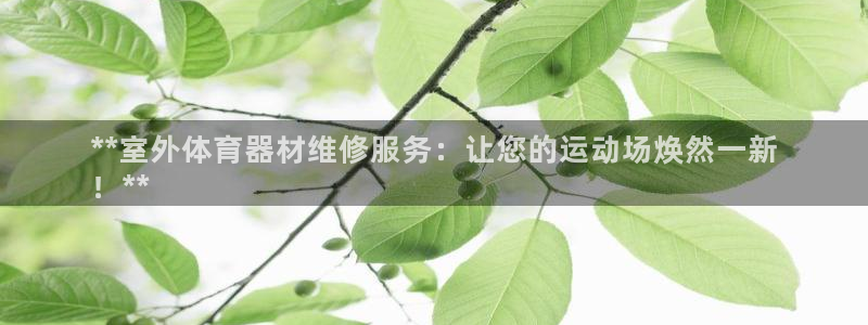 极悦平台登录最新版本更新内容是什么：**室外体育器材