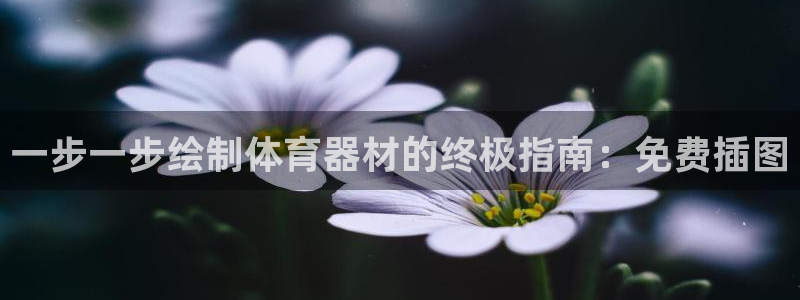 极悦平台很7O777：一步一步绘制体育器材的终极指南