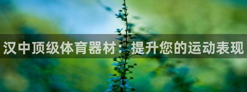 极悦平台app安全吗是真的吗：汉中顶级体育器材：提升您的运动