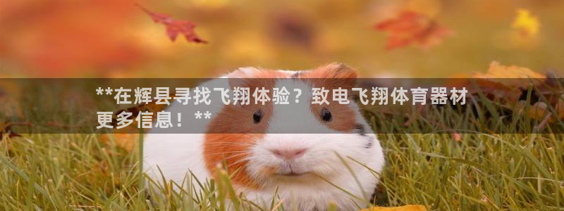 极悦官网注册最新版本更新内容在哪：**在辉县寻找飞翔