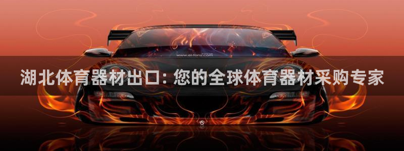 极悦平台登录最新版本更新内容是什么：湖北体育器材出口