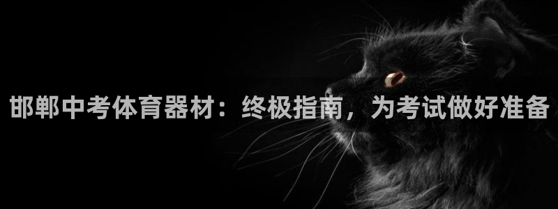 极悦平台是干什么的：邯郸中考体育器材：终极指南，为考