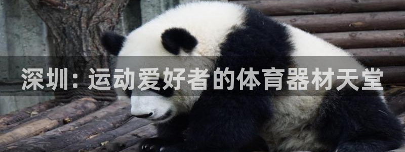 极悦平台app二维码怎么弄到桌面：深圳: 运动爱好者