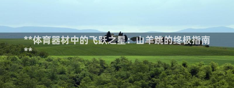 极悦平台官网登录最新版本更新内容介绍：**体育器材中
