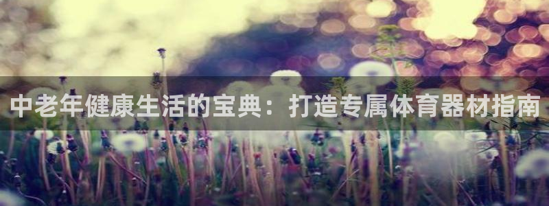 极悦官方网站：中老年健康生活的宝典：打造专属体育器材