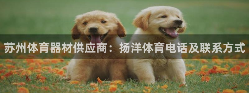 极悦平台登录人7.0.2.4登录入口：苏州体育器材供