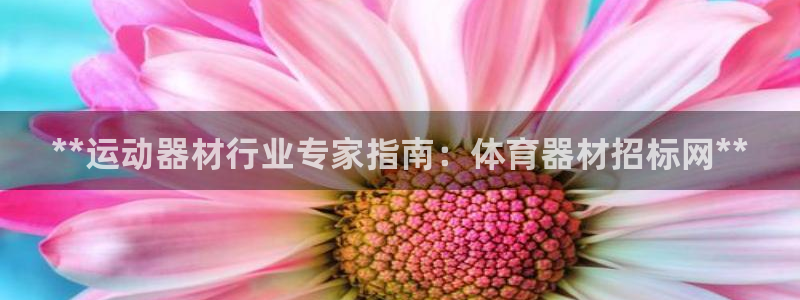 极悦平台官网入口网站：**运动器材行业专家指南：体育