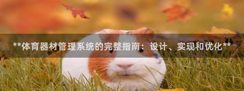 极悦平台代理怎么赚钱：**体育器材管理系统的完整指南