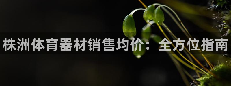 极悦平台用户评价在哪里看：株洲体育器材销售均价：全方