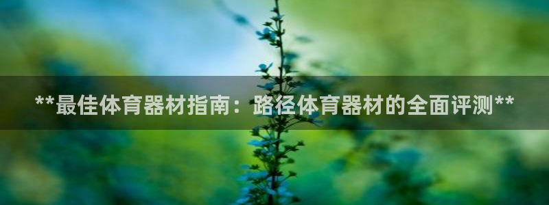 极悦娱乐挂机赚钱是真的吗知乎：**最佳体育器材指南：