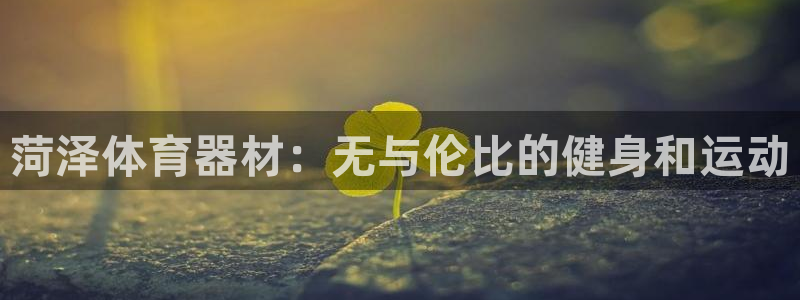 极悦平台注册登录入口官网：菏泽体育器材：无与伦比的健