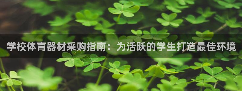 加盟极悦教育怎么样：学校体育器材采购指南：为活跃的学