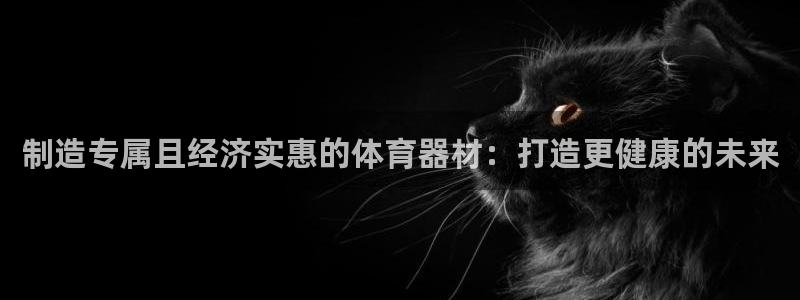 极悦平台注册官网：制造专属且经济实惠的体育器材：打造