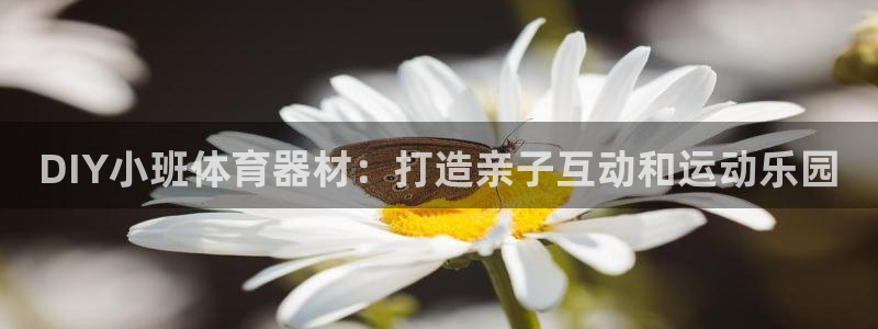 极悦牙膏怎么样好用吗：DIY小班体育器材：打造亲子互