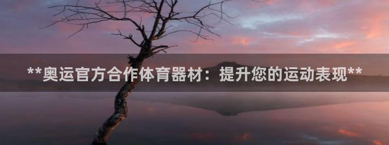 极悦娱乐负责人：**奥运官方合作体育器材：提升您的运
