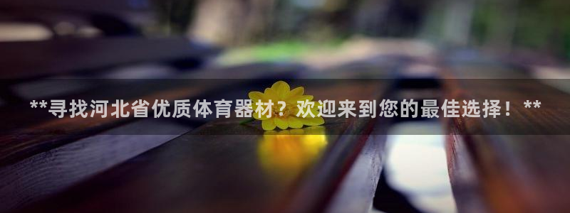 极悦平台代理怎么赚钱：**寻找河北省优质体育器材？欢