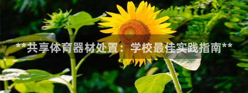 极悦娱乐股东：**共享体育器材处置：学校最佳实践指南