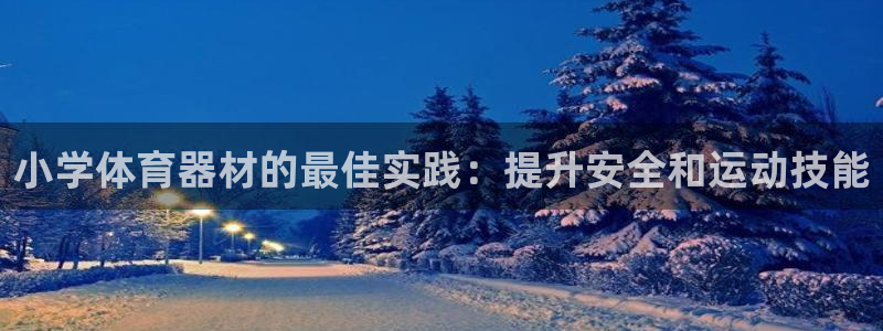 极悦平台平台注册方法与步骤图：小学体育器材的最佳实践