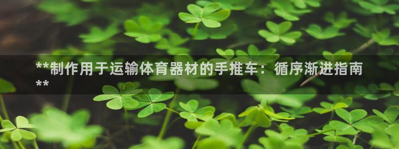 极悦娱乐的最新版本更新内容：**制作用于运输体育器材