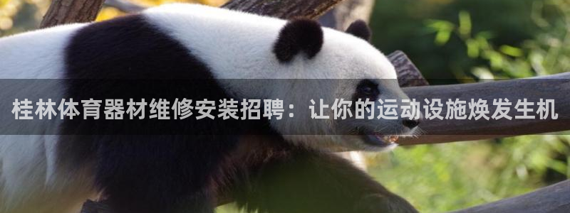 极悦娱乐贴吧百度：桂林体育器材维修安装招聘：让你的运