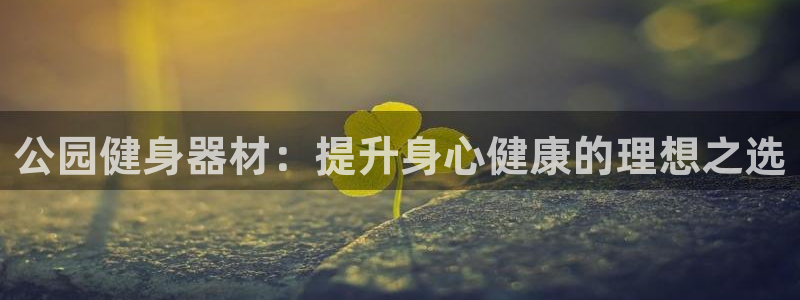 极悦平台注册资金多少亿：公园健身器材：提升身心健康的